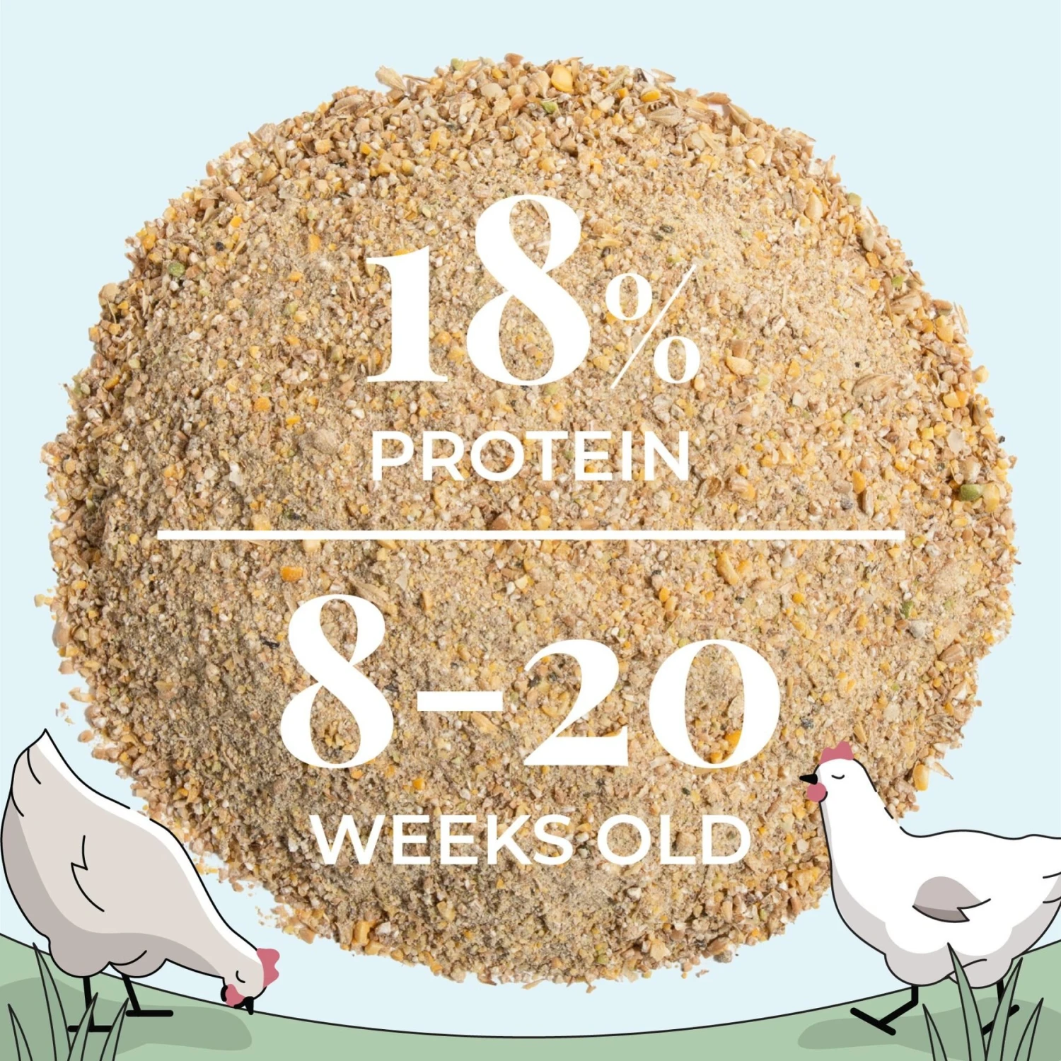 Mile Four Organic 18% Protein Mash Grower Chicken & Duck Feed 7 Mile Four Organic 18% Protein Mash Grower Chicken & Duck Feed - Image 7