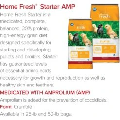Blue Seal Home Fresh Starter AMP-Medicated 20% Protein Poultry Food -Meadow Farm 366489 PT6. AC SS1800 V1643844114