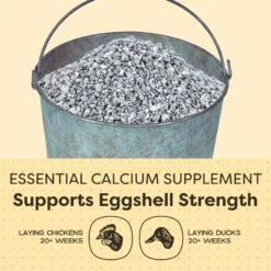 Scratch And Peck Feeds Cluckin' Good Chicken, Duck & Waterfowl Limestone Calcium Supplement -Meadow Farm 366874 PT4. AC SS1800 V1644904899