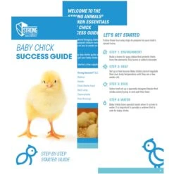 Strong Animals Baby Chick Care Kit Poultry Supplement, 5-lb Box -Meadow Farm 368393 PT2. AC SS1800 V1644967969