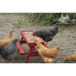 Coops & Feathers Chick-Nic Table Poultry Feeder, Red -Meadow Farm 370730 PT2. AC SS1800 V1646943754