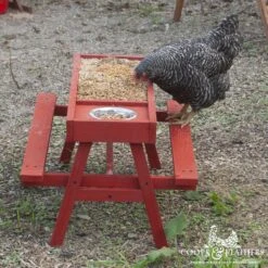 Coops & Feathers Chick-Nic Table Poultry Feeder, Red -Meadow Farm 370730 PT6. AC SS1800 V1646944889