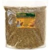 Exotic Nutrition Grub-Worms Dried Black Soldier Fly Larvae, 5-lb Bag