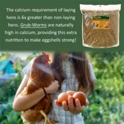Exotic Nutrition Grub-Worms Dried Black Soldier Fly Larvae, 5-lb Bag 11 Exotic Nutrition Grub-Worms Dried Black Soldier Fly Larvae, 5-lb Bag -Meadow Farm 373187 PT2. AC SS1800 V1663186968