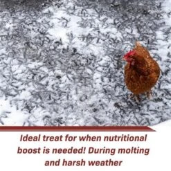 Exotic Nutrition Grub-Worms Dried Black Soldier Fly Larvae, 5-lb Bag 14 Exotic Nutrition Grub-Worms Dried Black Soldier Fly Larvae, 5-lb Bag -Meadow Farm 373187 PT5. AC SS1800 V1663186969