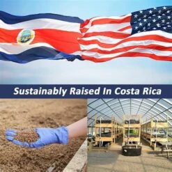 Exotic Nutrition Grub-Worms Dried Black Soldier Fly Larvae, 5-lb Bag 16 Exotic Nutrition Grub-Worms Dried Black Soldier Fly Larvae, 5-lb Bag -Meadow Farm 373187 PT7. AC SS1800 V1663186969