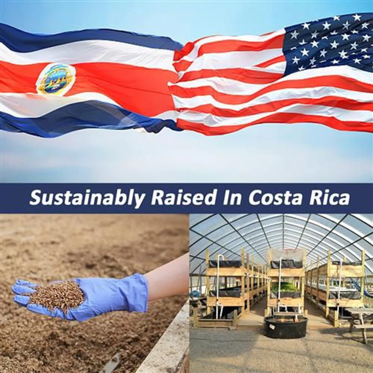 Exotic Nutrition Grub-Worms Dried Black Soldier Fly Larvae, 5-lb Bag 8 Exotic Nutrition Grub-Worms Dried Black Soldier Fly Larvae, 5-lb Bag - Image 8