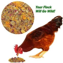 Exotic Nutrition Egg-Cellent Bird Supplement, 2-oz Bag -Meadow Farm 534046 PT2. AC SS1800 V1657658635