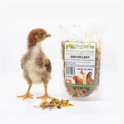 Exotic Nutrition Egg-Cellent Bird Supplement, 2-oz Bag -Meadow Farm 534046 PT3. AC SS1800 V1652397709