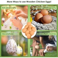 SunGrow Chicken & Duck Training Fake Wooden Eggs, Easter Craft Painting & Home Decor, 2 Count -Meadow Farm 539422 PT4. AC SS1800 V1694031618