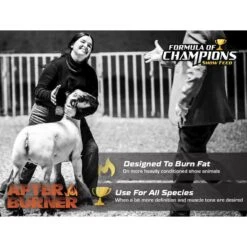 Formula Of Champions Afterburner Topdress Show Livestock Feed -Meadow Farm 576710 PT3. AC SS1800 V1658228390