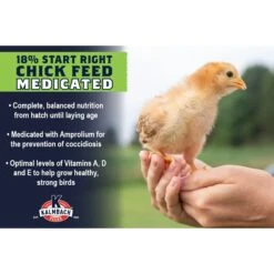 Kalmbach Feeds Start Right Medicated 18% Protein Crumble Chick Feed -Meadow Farm 610006 PT3. AC SS1800 V1662587545
