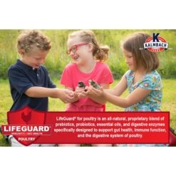 Kalmbach Feeds Start Right Medicated 18% Protein Crumble Chick Feed -Meadow Farm 610006 PT4. AC SS1800 V1662586756