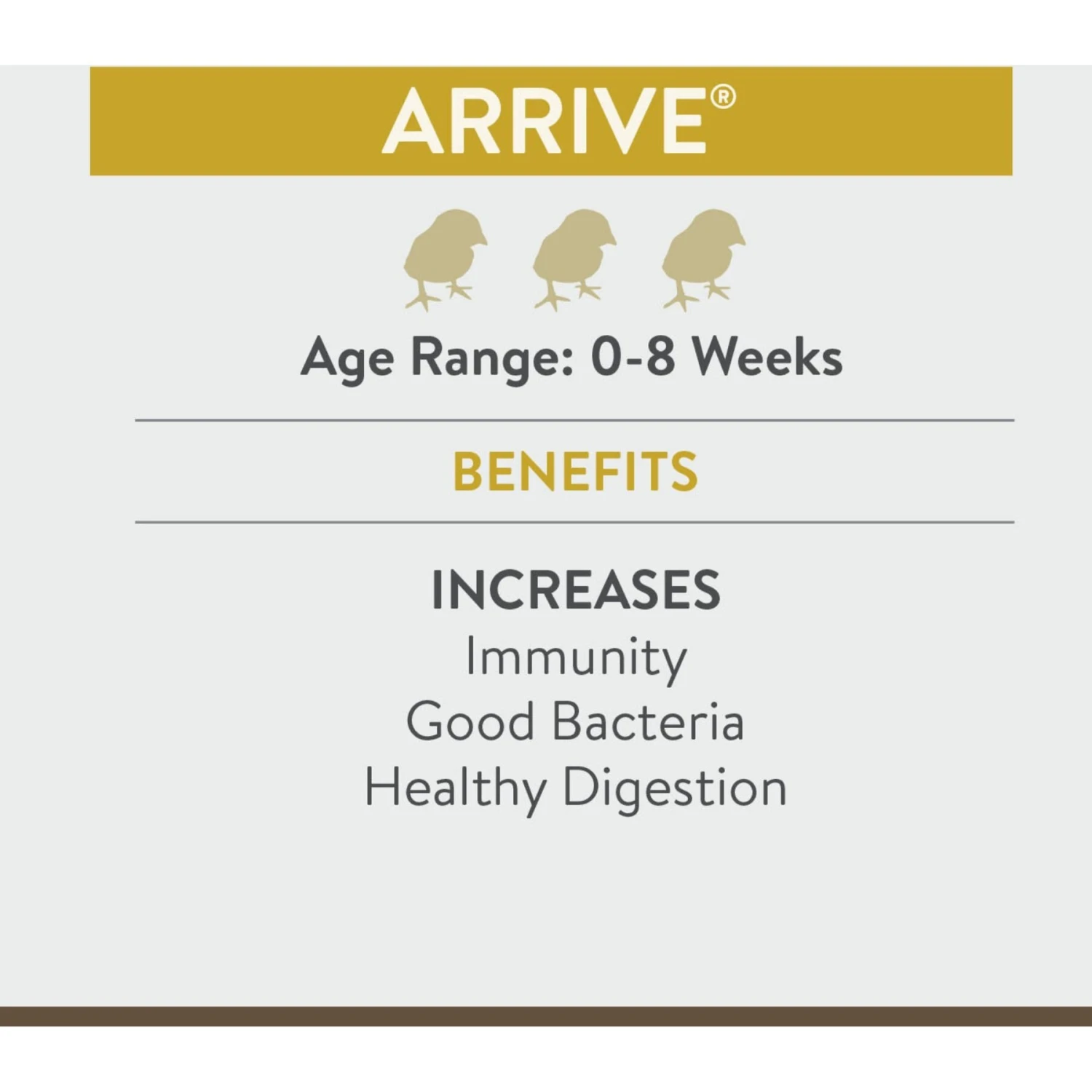 FlockLeader Arrive Poultry Supplement, 8-oz Bag 3 FlockLeader Arrive Poultry Supplement, 8-oz Bag - Image 3