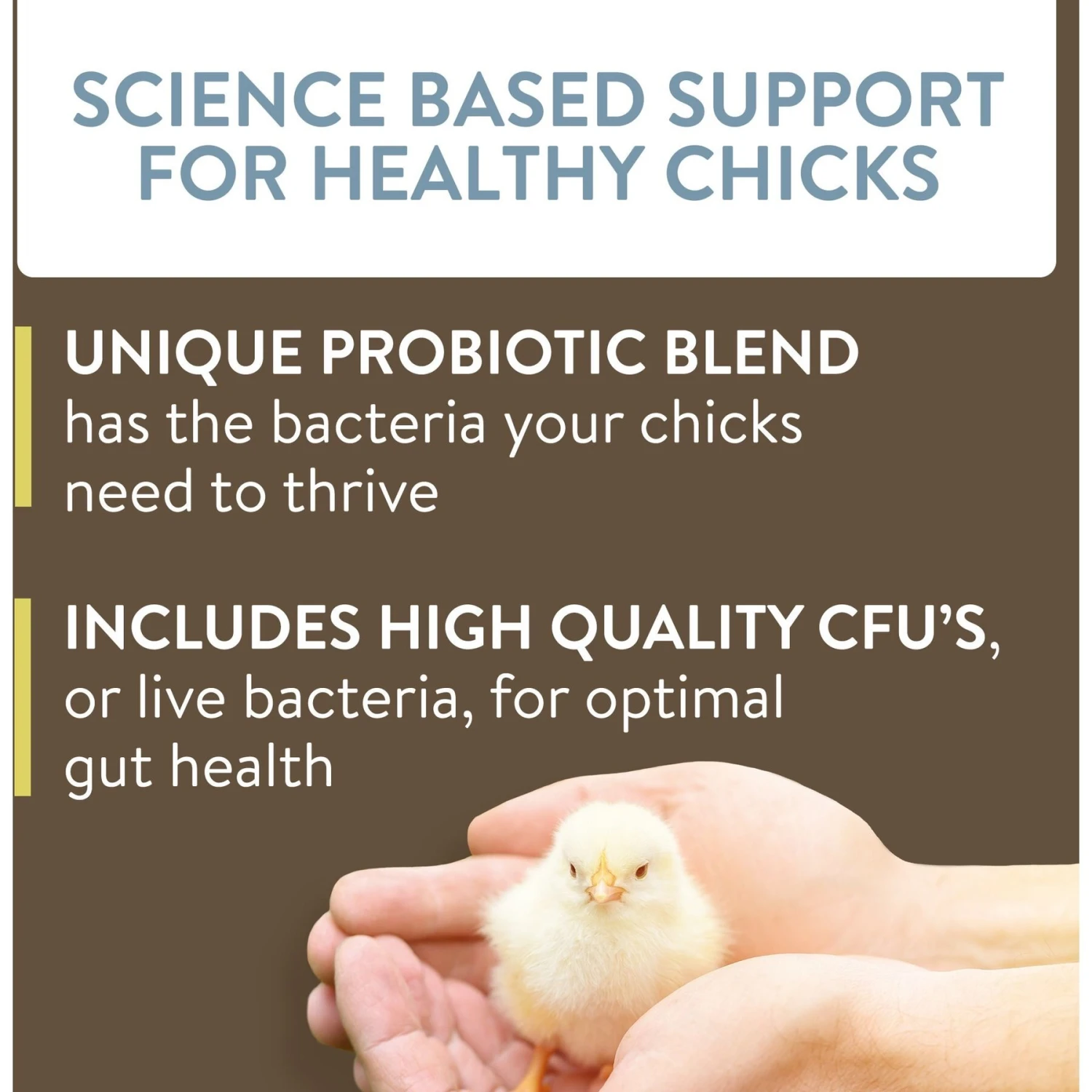 FlockLeader Arrive Poultry Supplement, 8-oz Bag 4 FlockLeader Arrive Poultry Supplement, 8-oz Bag - Image 4