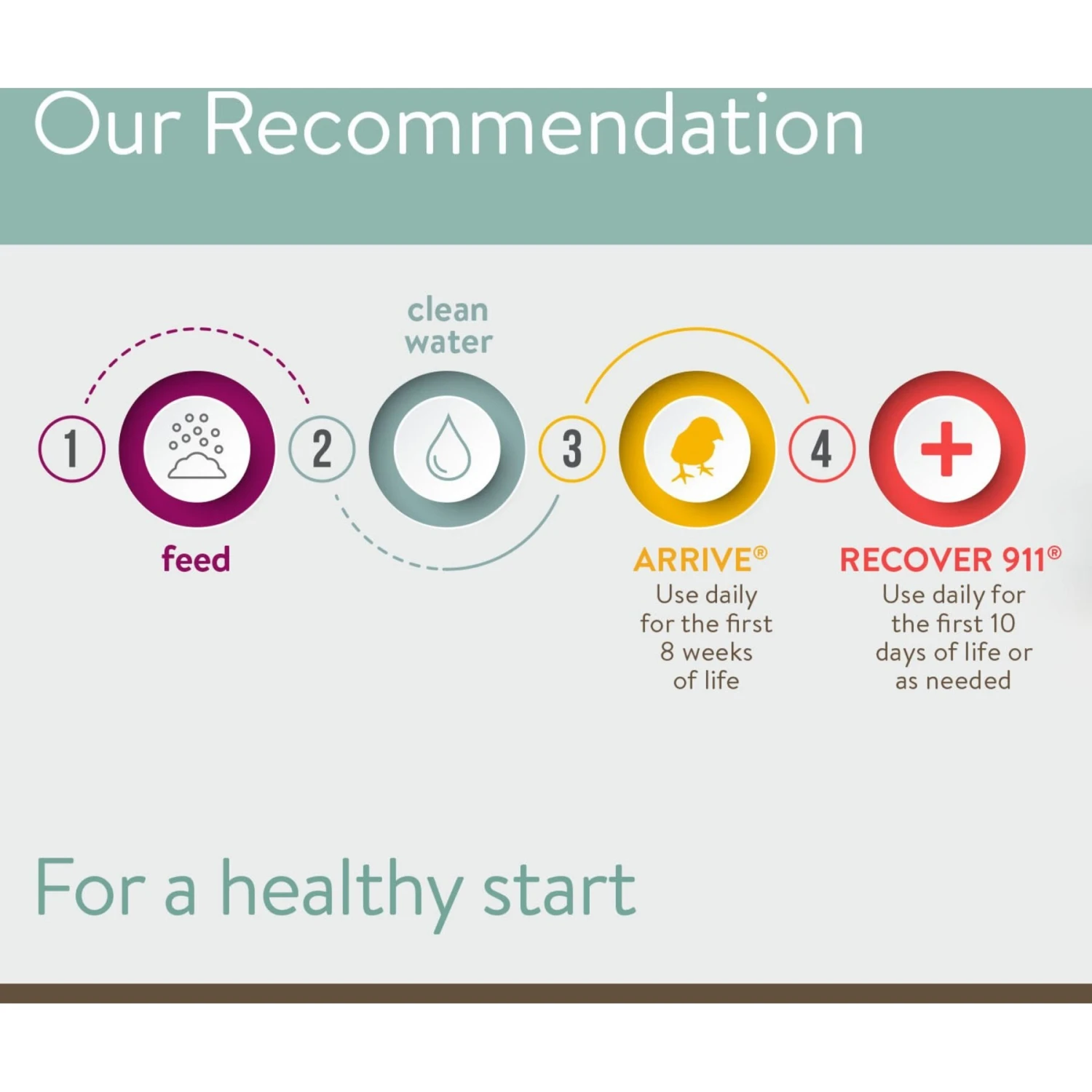 FlockLeader Arrive Poultry Supplement, 8-oz Bag 6 FlockLeader Arrive Poultry Supplement, 8-oz Bag - Image 6