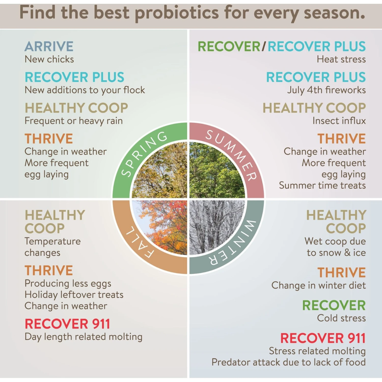 FlockLeader Arrive Poultry Supplement, 8-oz Bag 7 FlockLeader Arrive Poultry Supplement, 8-oz Bag - Image 7