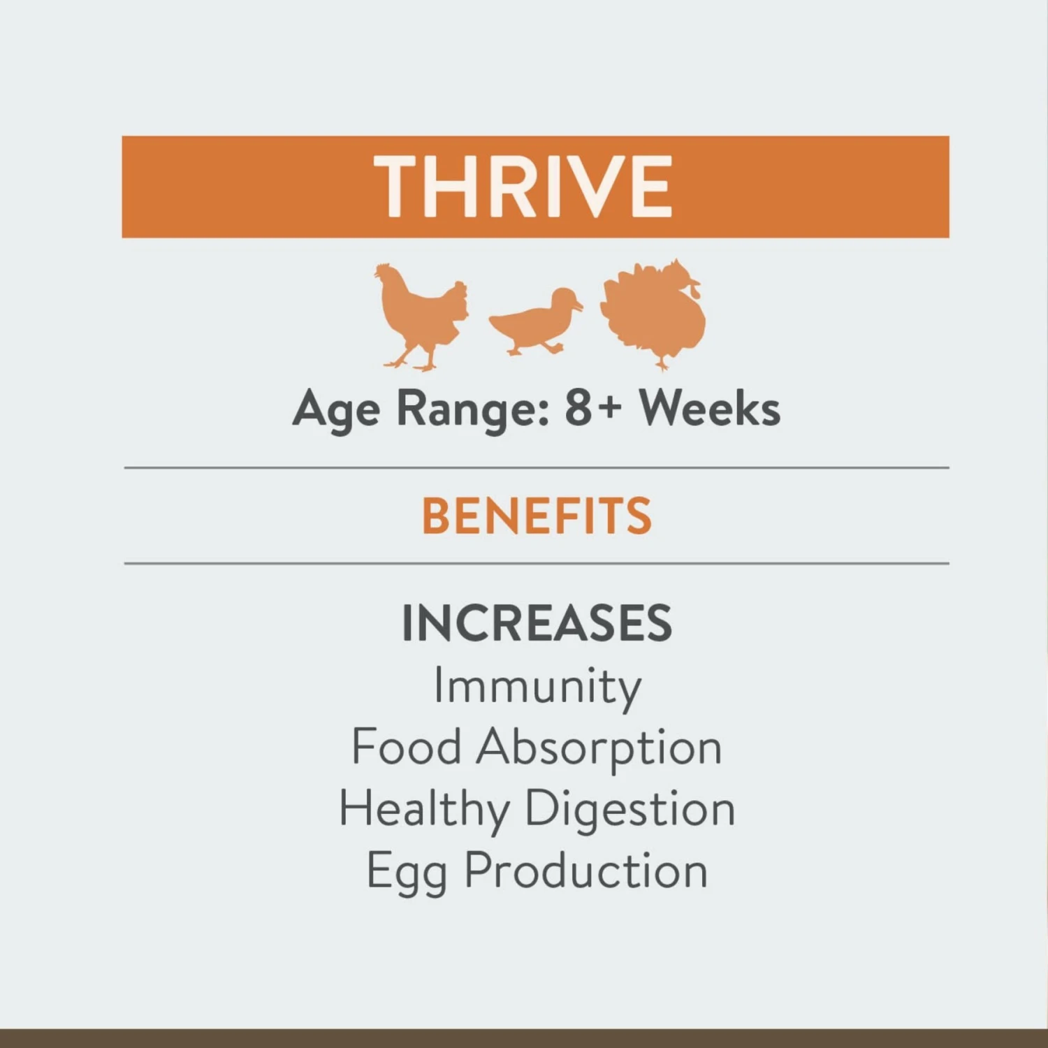 FlockLeader Thrive Poultry Supplement, 8-oz Bag 3 FlockLeader Thrive Poultry Supplement, 8-oz Bag - Image 3