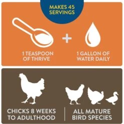 FlockLeader Thrive Poultry Supplement, 8-oz Bag 11 FlockLeader Thrive Poultry Supplement, 8-oz Bag -Meadow Farm 625614 PT4. AC SS1800 V1701362978