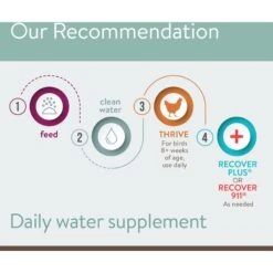 FlockLeader Thrive Poultry Supplement, 8-oz Bag 12 FlockLeader Thrive Poultry Supplement, 8-oz Bag -Meadow Farm 625614 PT5. AC SS1800 V1701362977