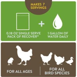 FlockLeader 7 Day Recover Poultry Supplement -Meadow Farm 625630 PT4. AC SS1800 V1701362976