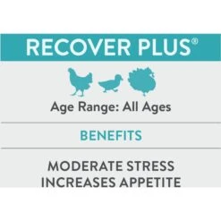 FlockLeader Recover Plus Poultry Supplement, 8-oz Bag -Meadow Farm 625646 PT2. AC SS1800 V1701362976