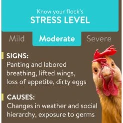 FlockLeader Recover Plus Poultry Supplement, 8-oz Bag -Meadow Farm 625646 PT3. AC SS1800 V1701362975