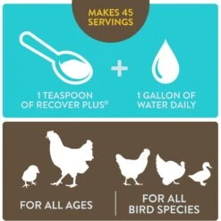 FlockLeader Recover Plus Poultry Supplement, 8-oz Bag -Meadow Farm 625646 PT4. AC SS1800 V1701362921