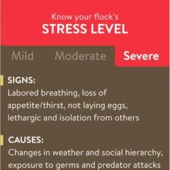 FlockLeader Recover 911 Poultry Supplement, 8-oz Bag -Meadow Farm 625662 PT3. AC SS1800 V1701362919