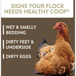 FlockLeader Healthy Coop Poultry Supplement, 12-lb Bag -Meadow Farm 625678 PT2. AC SS1800 V1701362918