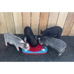 Piggy Poo And Crew Hide & Slide Snuffle Mat Farm Animal Treat Game -Meadow Farm 640406 PT5. AC SS1800 V1663344412