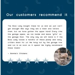 FLYGRUBS Bugalicious Bird Treats, 30-oz Bag 13 FLYGRUBS Bugalicious Bird Treats, 30-oz Bag -Meadow Farm 640854 PT6. AC SS1800 V1663797803