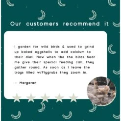 FLYGRUBS BugBites Bird Treats, 30-oz Bag 13 FLYGRUBS BugBites Bird Treats, 30-oz Bag -Meadow Farm 640870 PT6. AC SS1800 V1663797354