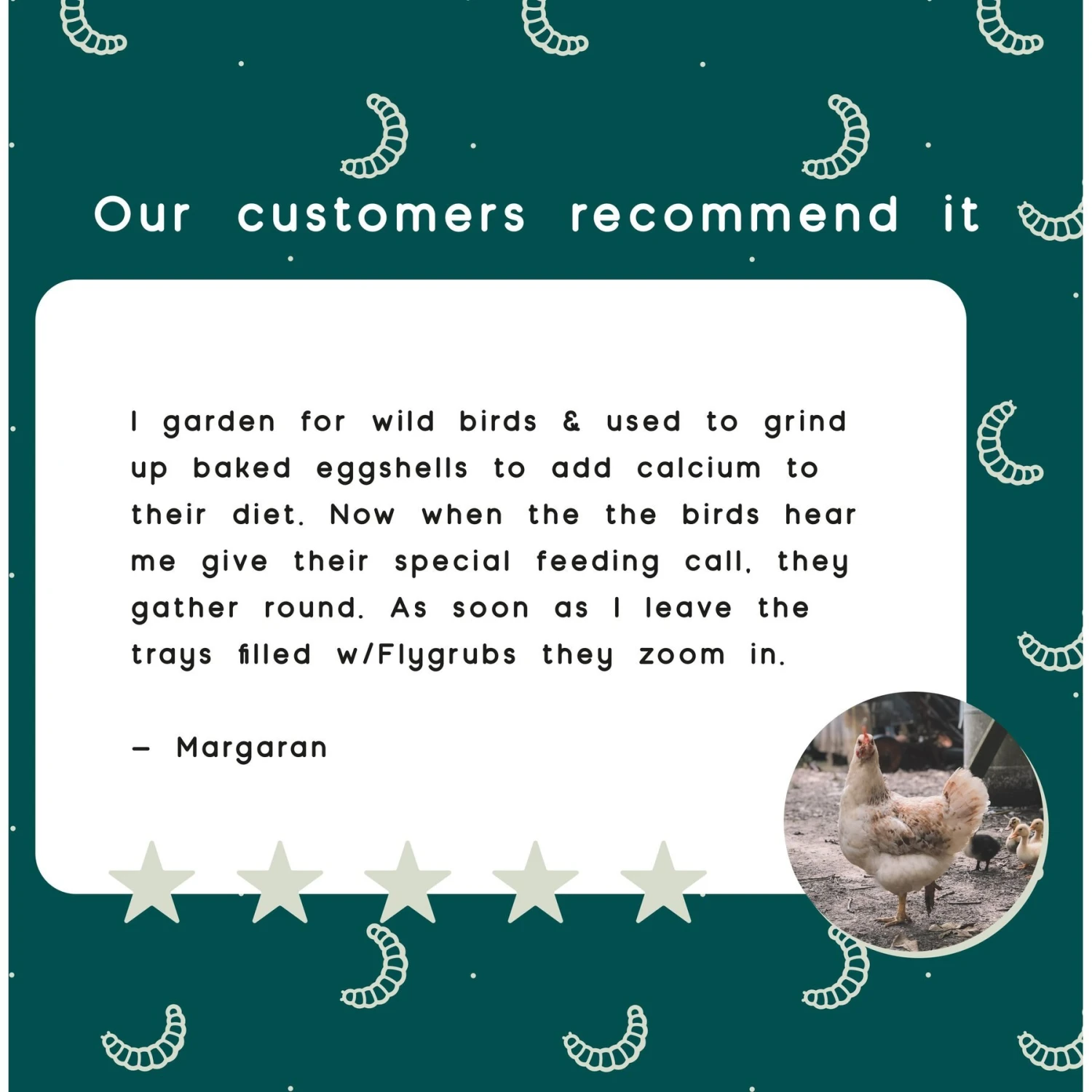 FLYGRUBS BugBites Bird Treats, 30-oz Bag 7 FLYGRUBS BugBites Bird Treats, 30-oz Bag - Image 7