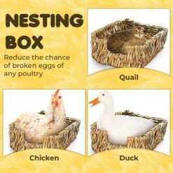 SunGrow Chicken Coop Nesting Boxes For Laying Eggs, Woven Baskets For Storage -Meadow Farm 666550 PT3. AC SS1800 V1691166047