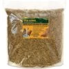 Exotic Nutrition Grub-Worms Dried Black Soldier Fly Larvae Bird Food, 2.5-lb Bag