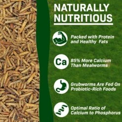 Exotic Nutrition Grub-Worms Dried Black Soldier Fly Larvae Bird Food, 2.5-lb Bag -Meadow Farm 692694 PT2. AC SS1800 V1668024577