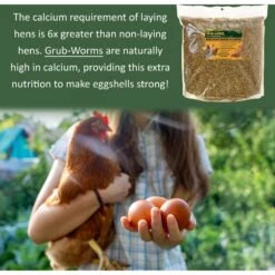 Exotic Nutrition Grub-Worms Dried Black Soldier Fly Larvae Bird Food, 2.5-lb Bag -Meadow Farm 692694 PT6. AC SS1800 V1668023653