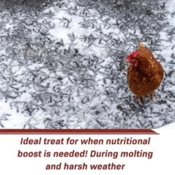 Exotic Nutrition Grub-Worms Dried Black Soldier Fly Larvae Bird Food, 2.5-lb Bag -Meadow Farm 692694 PT7. AC SS1800 V1668024049