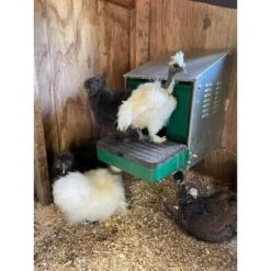 My Favorite Chicken Nestomatic Roll Away Chicken & Duck Nest Box -Meadow Farm 699590 PT6. AC SS1800 V1668197026