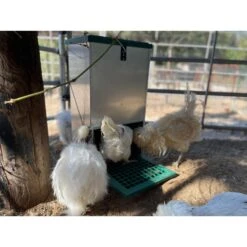 My Favorite Chicken Feedomatic Automatic Chicken & Duck Treadle Feeder -Meadow Farm 699614 PT4. AC SS1800 V1668197963