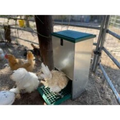 My Favorite Chicken Feedomatic Automatic Chicken & Duck Treadle Feeder -Meadow Farm 699614 PT8. AC SS1800 V1668197021