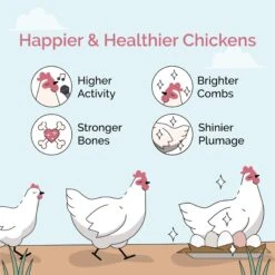 Mile Four Chicken Grit Digestive Poultry Supplement, 50-lb Bag -Meadow Farm 715142 PT2. AC SS1800 V1686172141