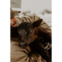 Colostrx CR Colostrum Replacer Cattle Supplement, 700-g Bag 5 Colostrx CR Colostrum Replacer Cattle Supplement, 700-g Bag -Meadow Farm 729943 PT3. AC SS1800 V1670439372