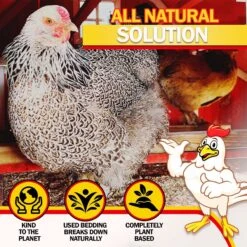 My Favorite Chicken Chicken & Small Animal Hemp Bedding With DooKashi Odor Eliminator, 1 Cu Ft Box 11 My Favorite Chicken Chicken & Small Animal Hemp Bedding With DooKashi Odor Eliminator, 1 Cu Ft Box -Meadow Farm 749918 PT2. AC SS1800 V1693926257