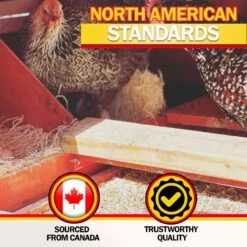 My Favorite Chicken Chicken & Small Animal Hemp Bedding With DooKashi Odor Eliminator, 1 Cu Ft Box 17 My Favorite Chicken Chicken & Small Animal Hemp Bedding With DooKashi Odor Eliminator, 1 Cu Ft Box -Meadow Farm 749918 PT8. AC SS1800 V1693937174