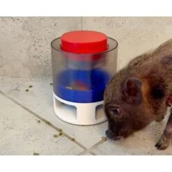 Piggy Poo And Crew Treat Popper Game Farm Toy Medium -Meadow Farm 766278 PT2. AC SS1800 V1676319827