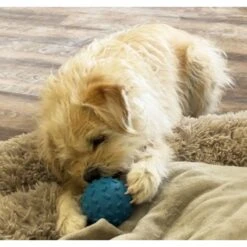 Piggy Poo And Crew Pet Challenging Treat Balls Farm Toy, Small, 4 Count -Meadow Farm 766382 PT2. AC SS1800 V1688738702