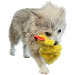 Piggy Poo And Crew Chicken & Egg Paper Crinkle Squeaker Toys Farm Toy, Medium -Meadow Farm 766398 PT3. AC SS1800 V1687550428