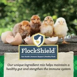 Nutrena NatureWise Chick Starter Grower 18% Protein Crumbles Poultry Feed -Meadow Farm 770110 PT6. AC SS1800 V1676412805